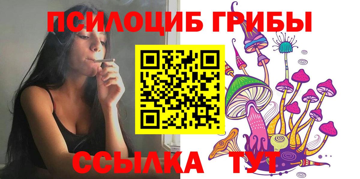 Галлюциногенные грибы мицелий Сланцы