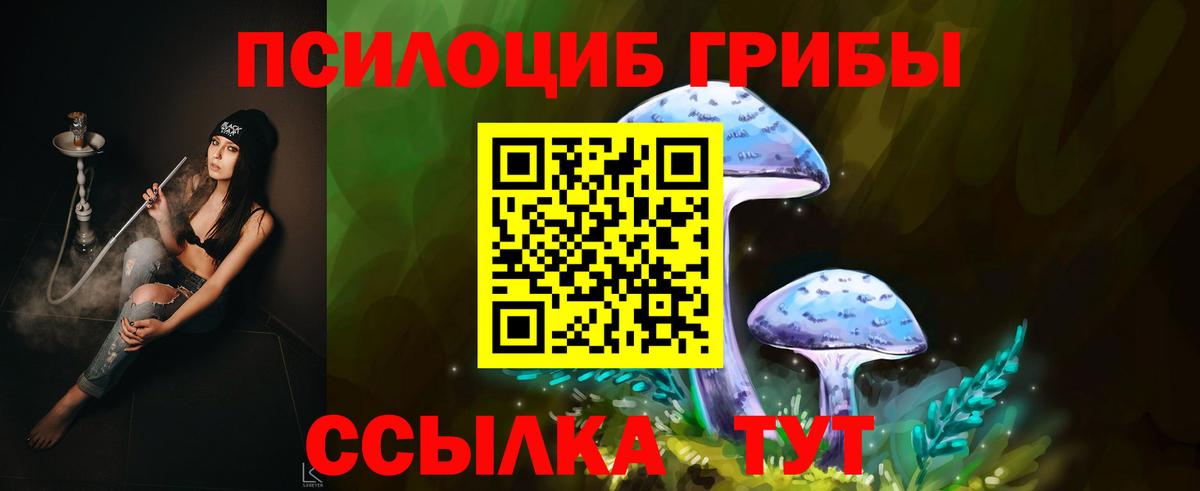 Сланцы  Псилоцибиновые грибы мухоморы  Вход с VPN  Псилоцибиновые грибы Magic Shrooms 